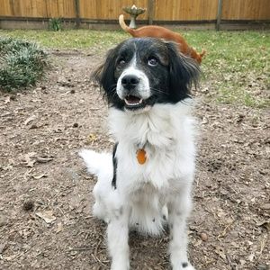 Meet your Posher, Molly